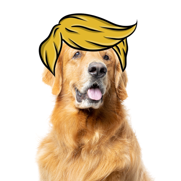 Things Dognald Trump would say